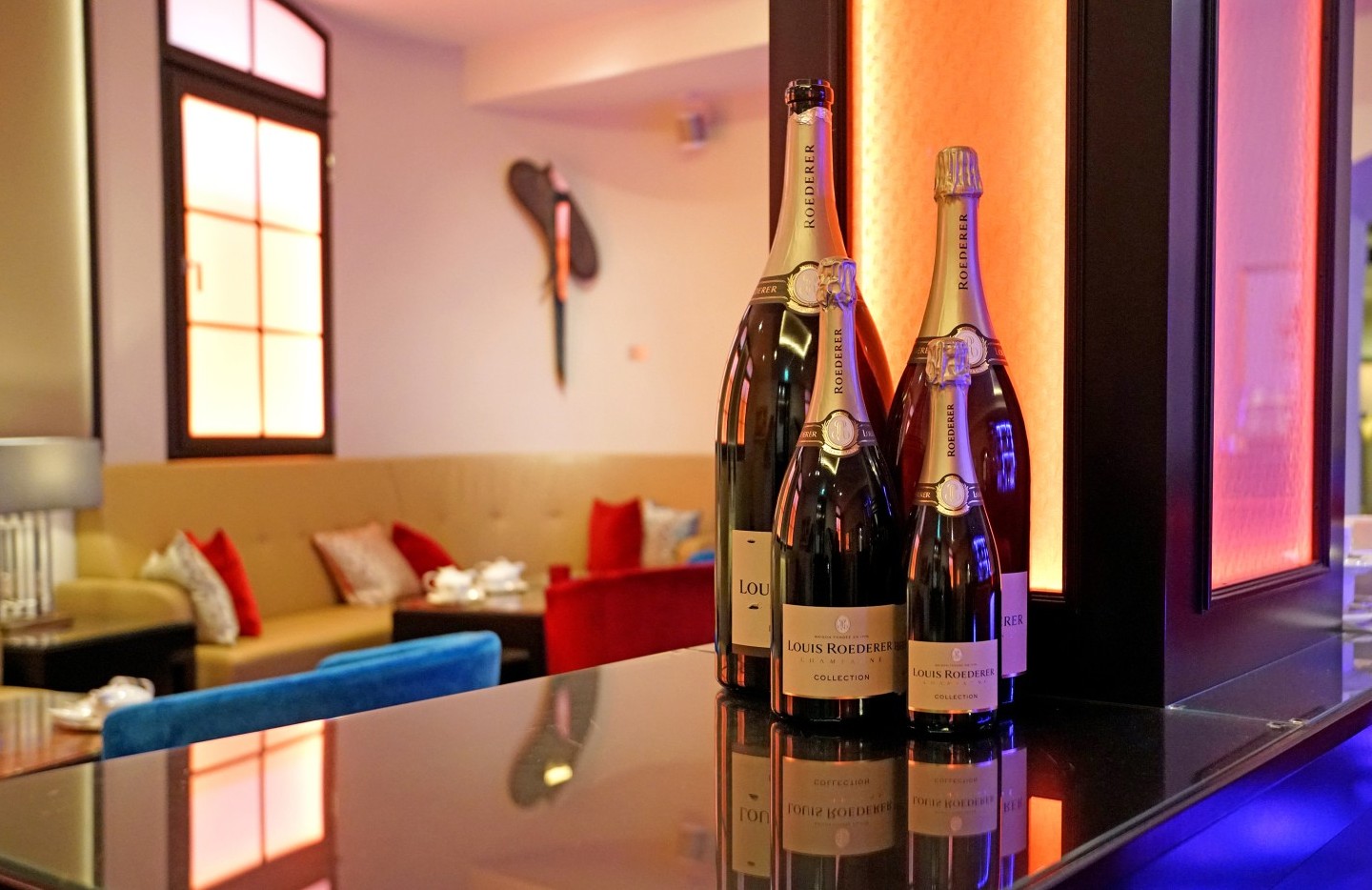 DDH_20251109_SDW_SchwarzerHahn1567