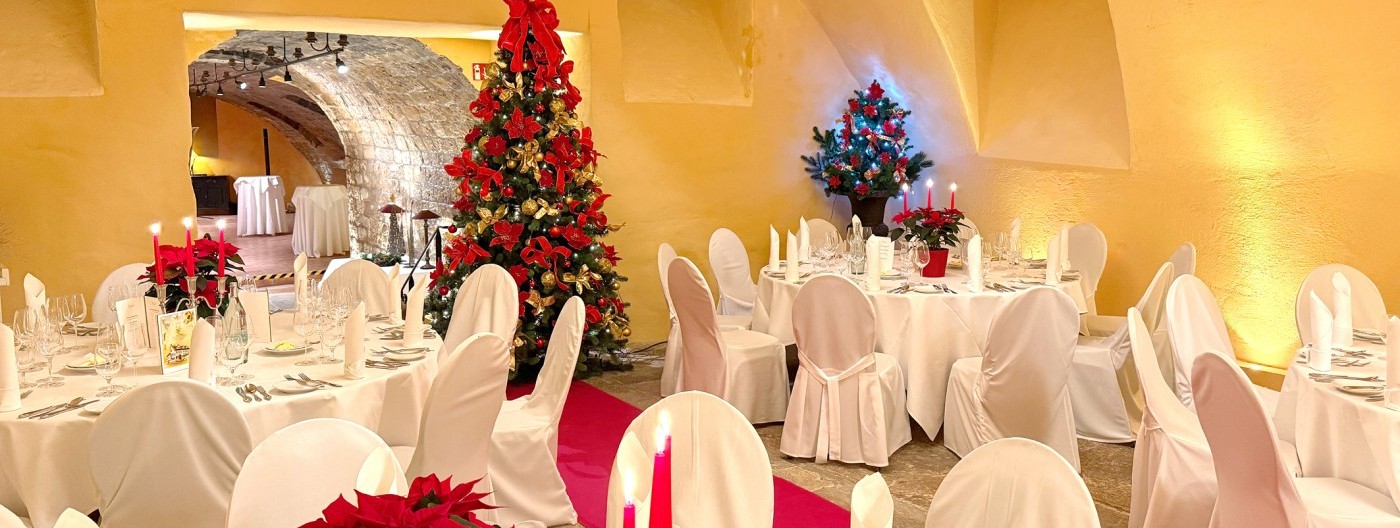 WeihnachtsfotosfürWeb7